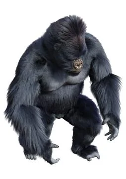 3D Rendering Black Gorilla Ape on White Stock-Illustration