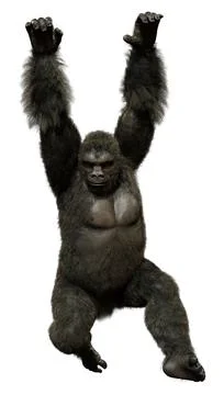 3D Rendering Black Gorilla Ape on White Illustrazione stock