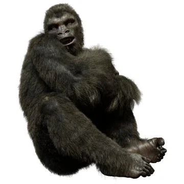 3D Rendering Black Gorilla Ape on White Stock-Illustration