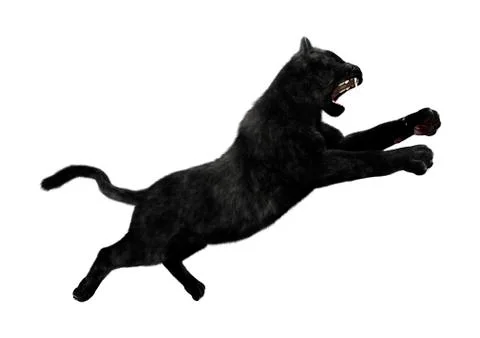 3D Rendering Black Panther on White Stock Illustration