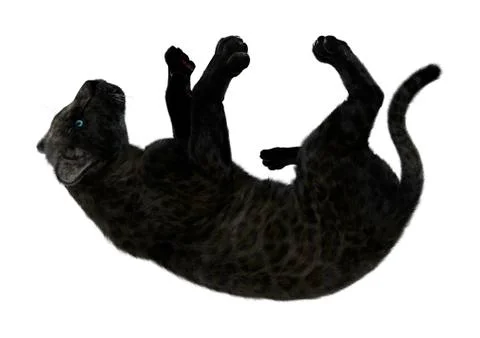3D Rendering Black Panther on White Stock Illustration