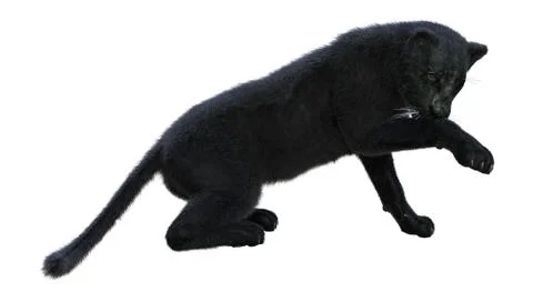 3D Rendering Black Panther on White Stock Illustration