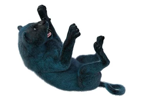 3D Rendering Black Panther on White Stock Illustration