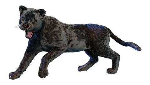 3D Rendering Black Panther on White Stock Illustration