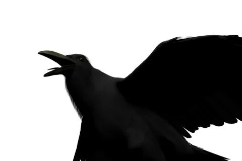 3D rendering of a black raven Stock Illustration