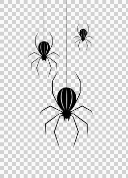 3D Rendering Black spider graphic isolate Stock Illustration