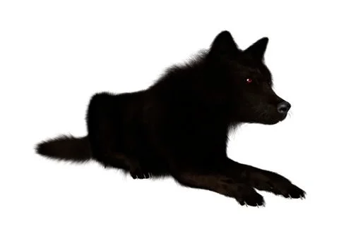 3D Rendering Black Wolf on White Stock Illustration
