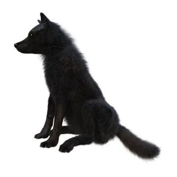 3D Rendering Black Wolf on White Stock Illustration