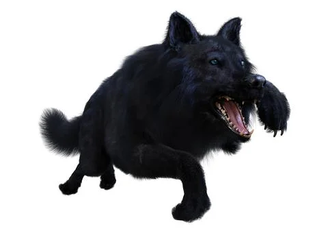3D Rendering Black Wolf on White Stock Illustration