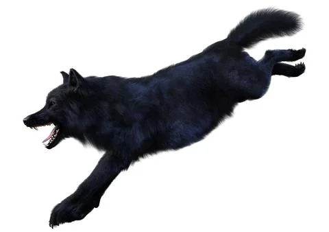 3D Rendering Black Wolf on White Stock Illustration