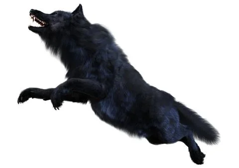 3D Rendering Black Wolf on White Stock Illustration