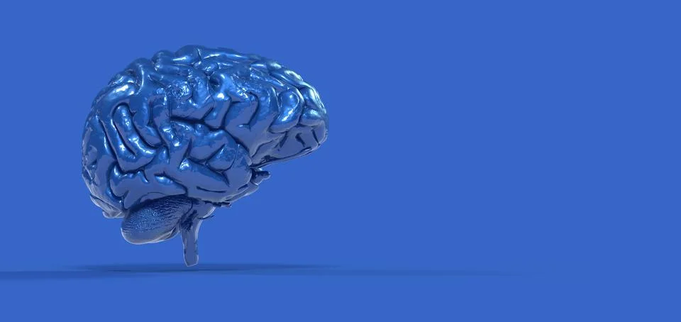 3D rendering of a blue brain on a blue blank space for a copy space Stock Illustration