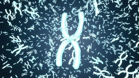 3d rendering blue chromosome x through microscope 4k footage Stock Footage 313467093