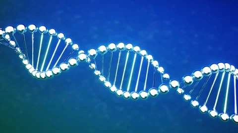 3d rendering blue metallic dna helix or genome structure 4k footage Stock Footage 313036716