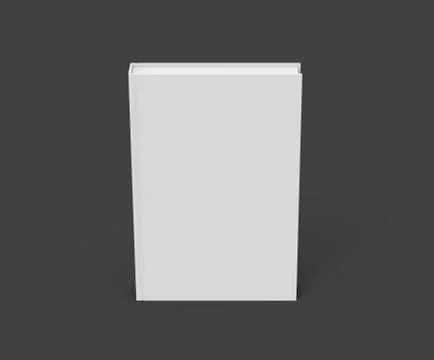 3D rendering book mockup Stock Illustration