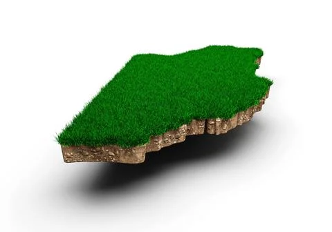 3D rendering of the border of Belize from a grass patch on a white background Ilustración de archivo