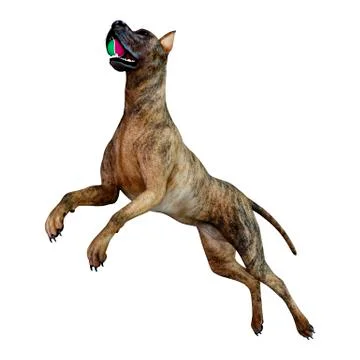 3D Rendering Brindle Great Dane Dog on White Stock Illustration
