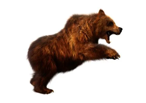3D Rendering Brown Bear on White Stock Illustration