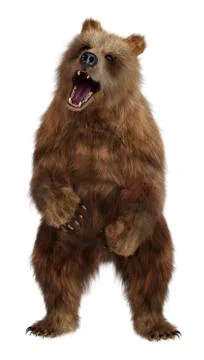 3D Rendering Brown Bear on White Stock Illustration