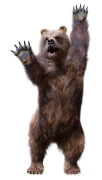 3D Rendering Brown Bear on White Stock Illustration
