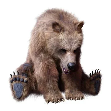 3D Rendering Brown Bear on White Stock Illustration