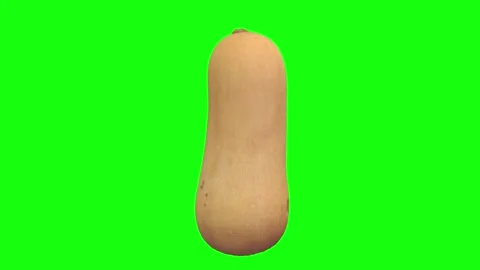 3D rendering of a butternut squash on a bright green background Stock Footage 285354861