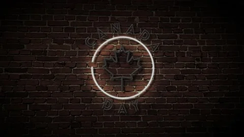 3D Rendering Canada Day Neon Sign with a Brick Wall Background 库存影片 131228791