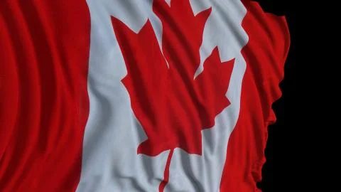 3D rendering of a canadian flag. The flag develops smoothly in the wind Foto stock