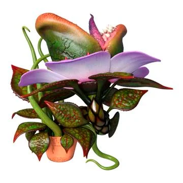3D Rendering Carnivorous Plant on White Stock Illustration