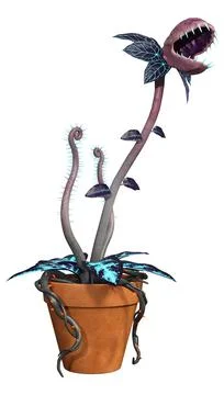 3D Rendering Carnivorous Plant on White Stock Illustration