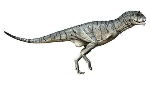 3D Rendering Carnotaurus Sastrei Dinosur on White Stock Illustration