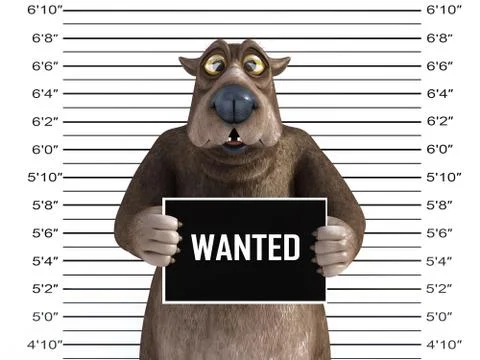 3D rendering of a cartoon bear looking silly in a mugshot. Stock Illustration