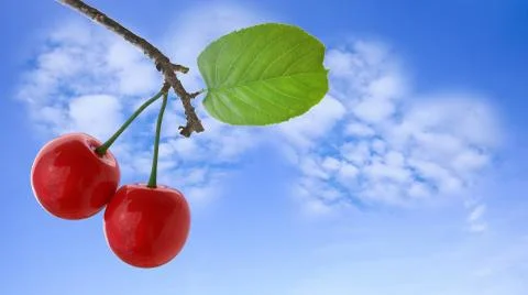 3d rendering of Cherries with leaves and stalks Stock Photos