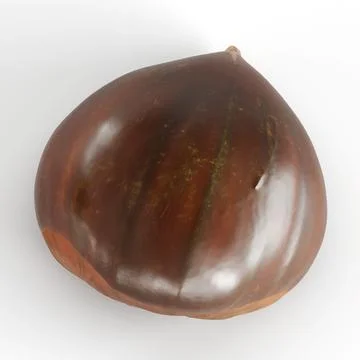 3D rendering of a chestnut on a white background Foto stock