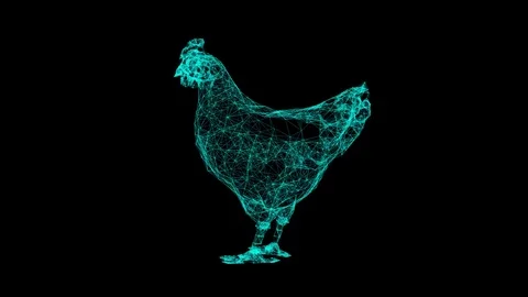 3d rendering chicken wireframe high poly mesh Stock Footage 106272081