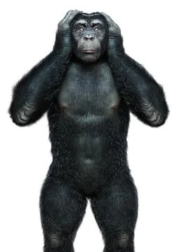 3D Rendering Chimpanzee on White Illustrazione stock