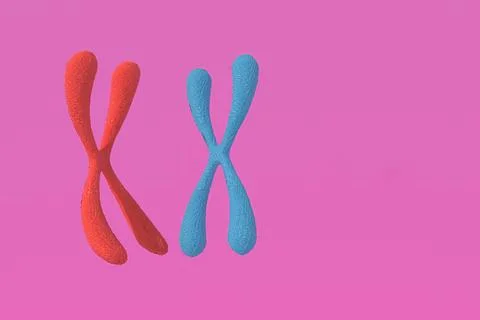 3d rendering of Chromosome Abstract Scientific Background, 3d illustration... Stock Photos