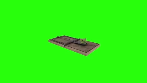 3D rendering of a classic wooden bear trap with a green background Stock Footage 303594918