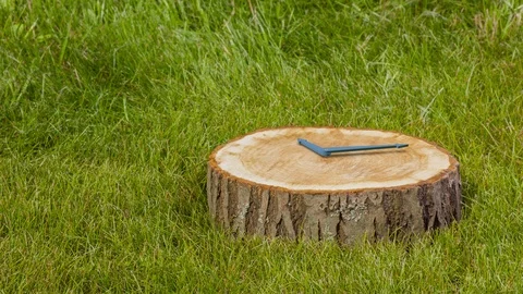 3d rendering of clock hands on a tree stump. CG animation. Modern envionment Stock Footage 111951204