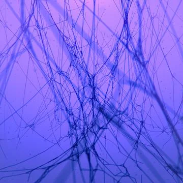 3d rendering cobweb digital illustration on glowing pink mysterious background Stock Illustration