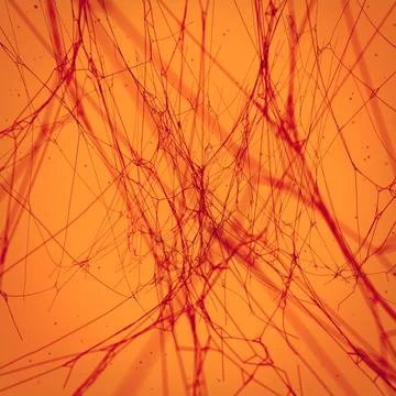 3d rendering cobweb digital illustration on glowing orange light background Stock Illustration