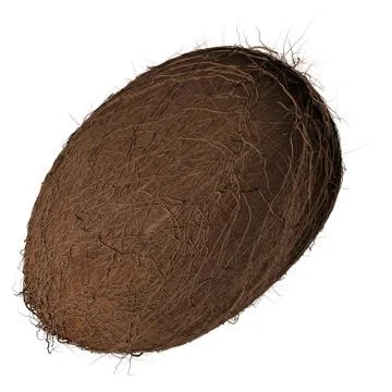 3d Rendering of a Coconut Stock Illustration