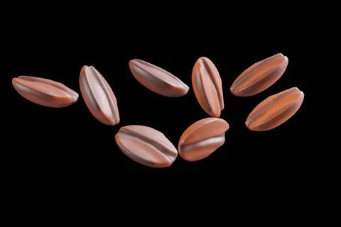 3d rendering coffe beans Stock Illustration