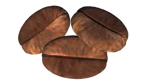 3d rendering coffee bean macro shot. take to show the detail and the characte Illustrazione stock