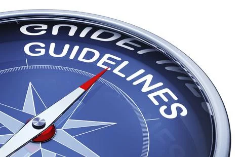 3d rendering of an compass with the word guidelines Illustrazione stock