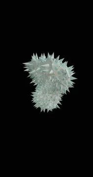 3D rendering of a complex, spiked virus particle structure in translucent b.. Stock Photos