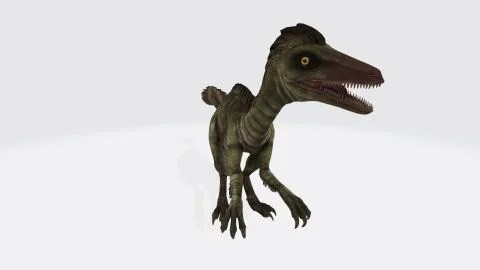 A 3D rendering of a computer-generated Troodon dinosaur isolated on a white b 스톡 일러스트