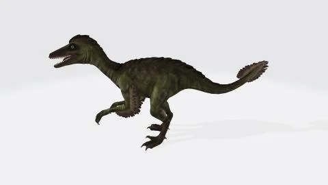 A 3D rendering of a computer-generated Troodon dinosaur isolated on a white b 스톡 일러스트