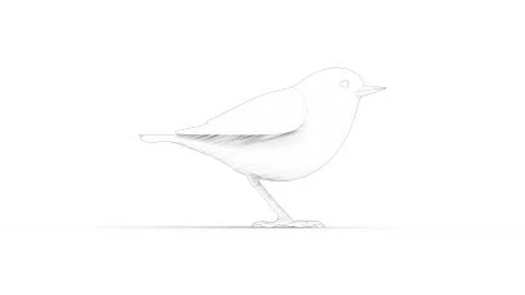 3d rendering of a computer model bird isolated in white background Illustrazione stock