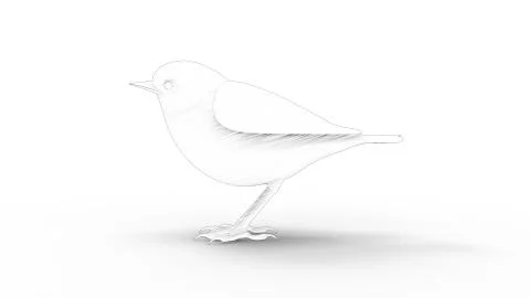 3d rendering of a computer model bird isolated in white background 스톡 일러스트